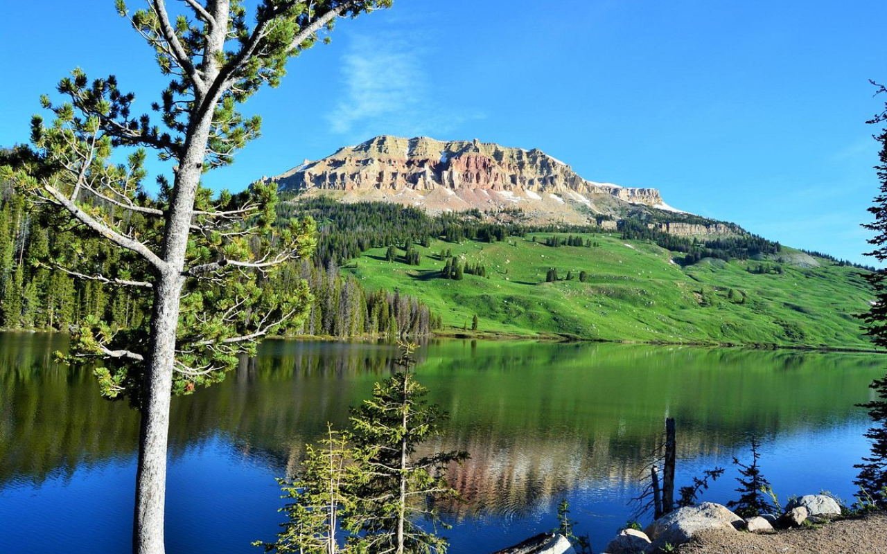 Montana