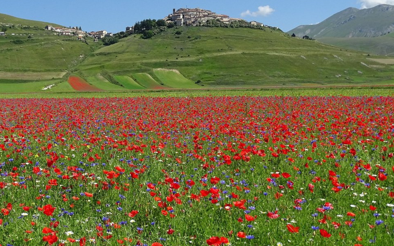 Castelluccio di Norcia