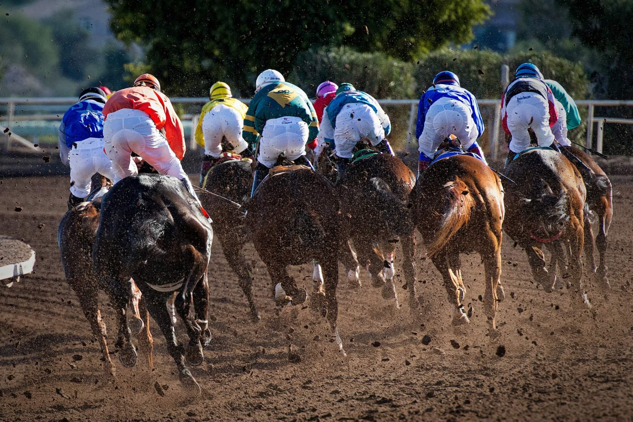 horses racing
