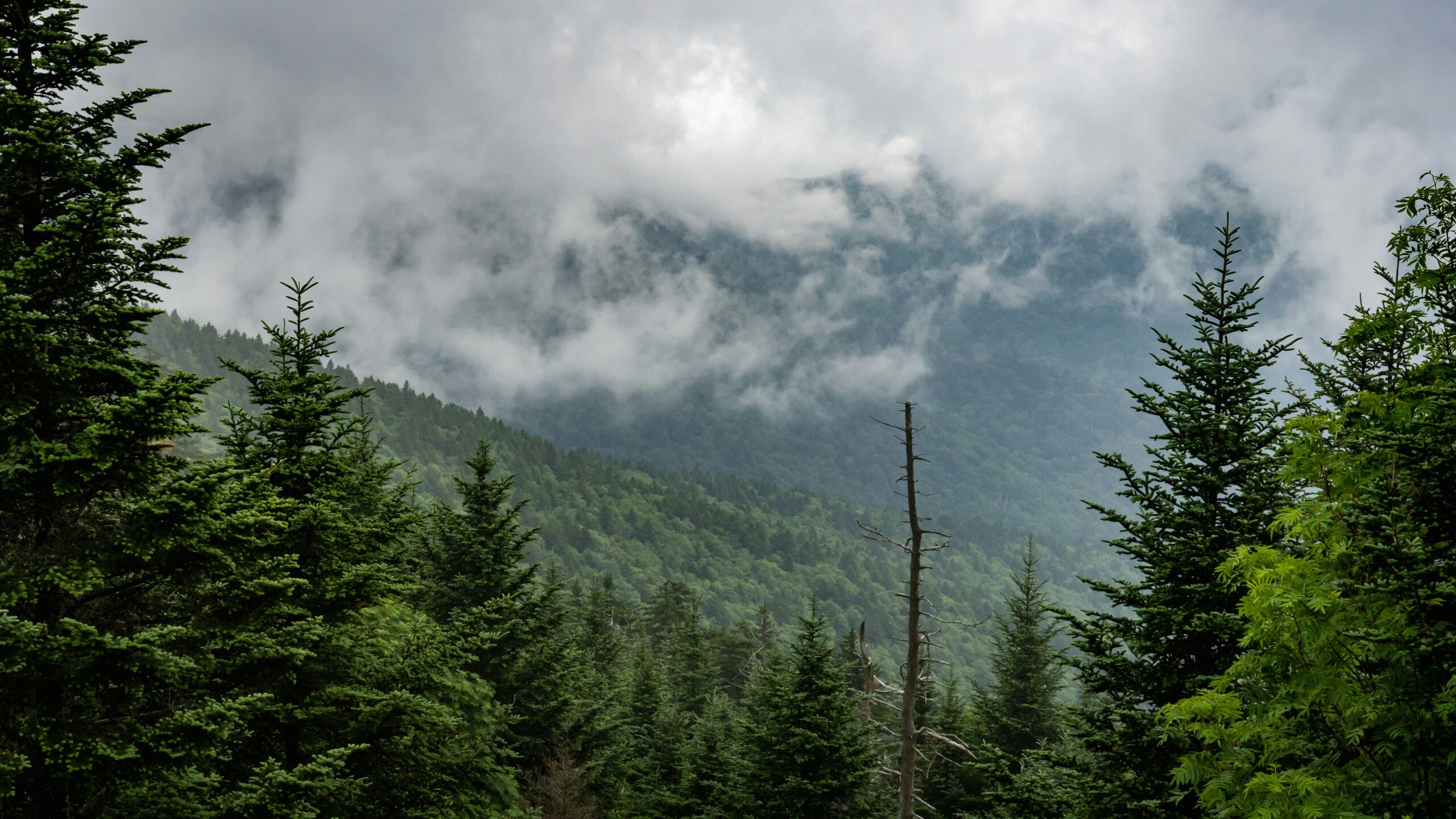 great smoky mountains national park