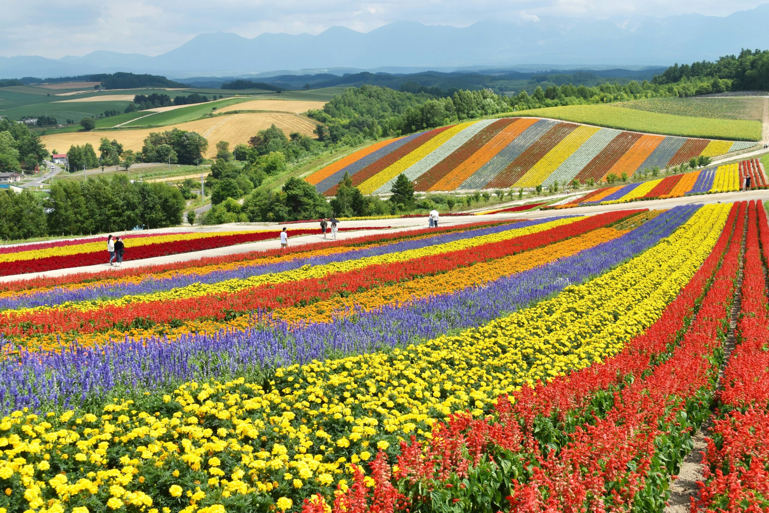 hokkaido, japan