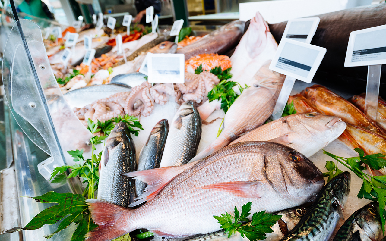 Seafood on display