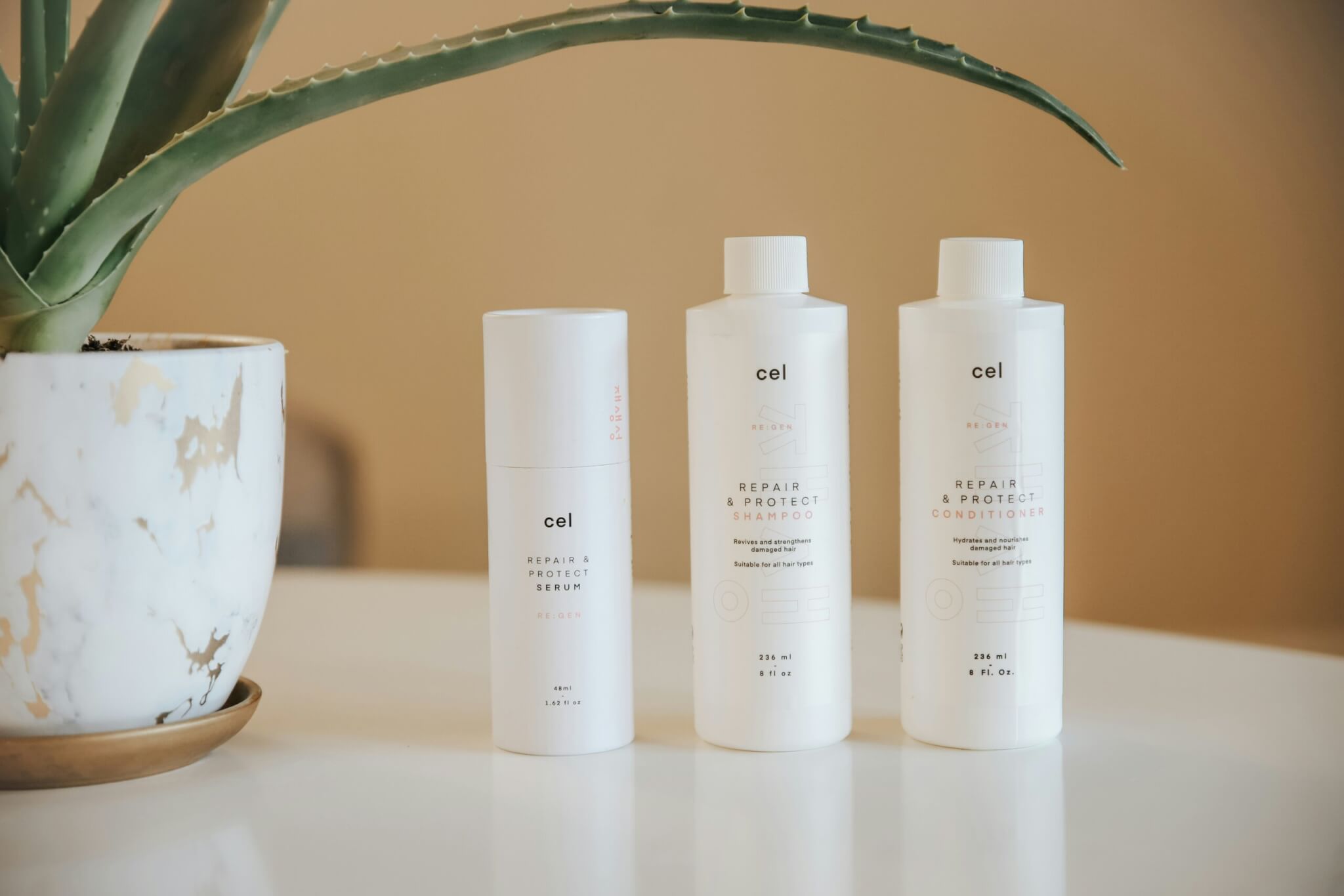 bottles of shampoo and conditioner