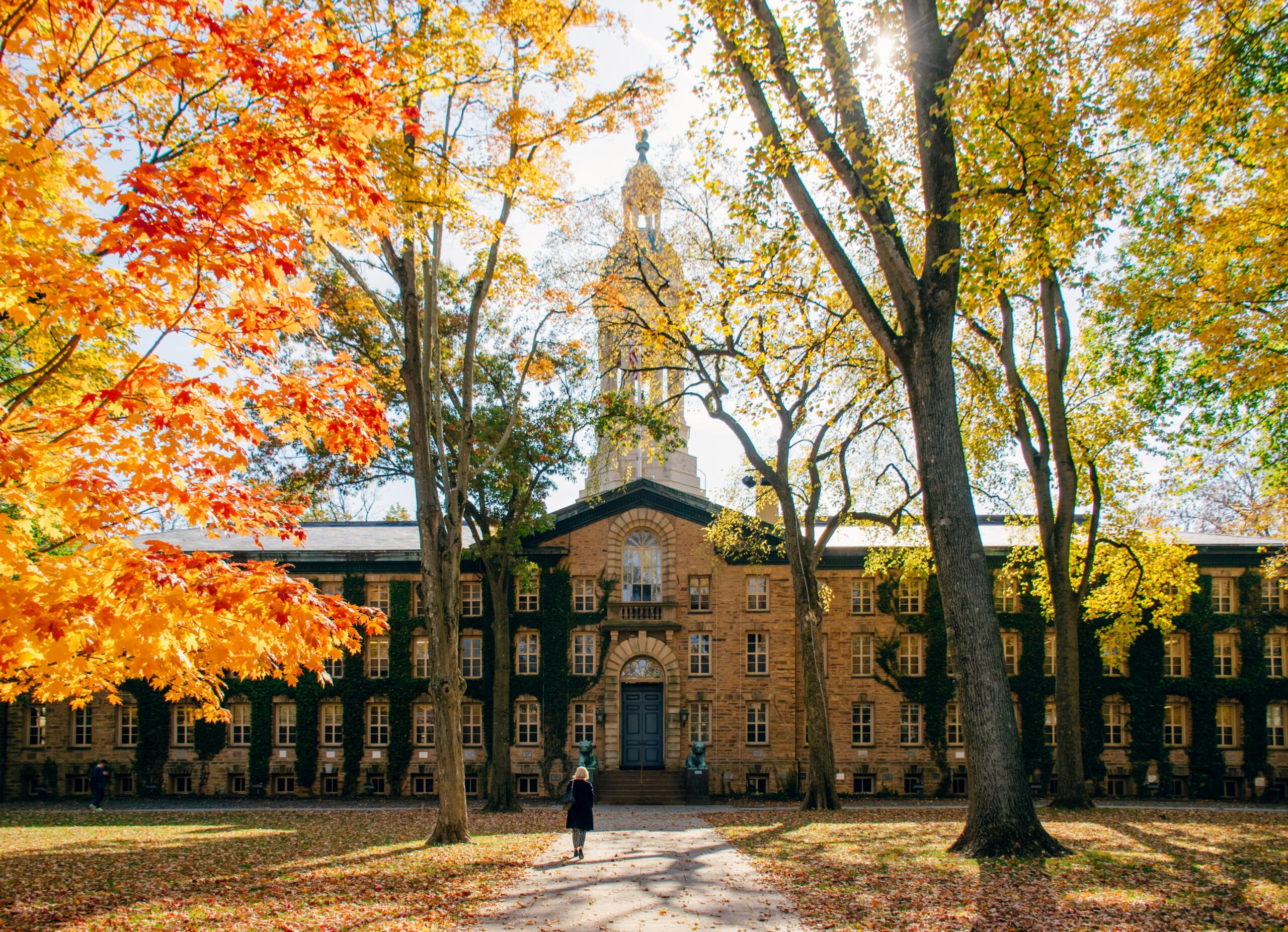 princeton university