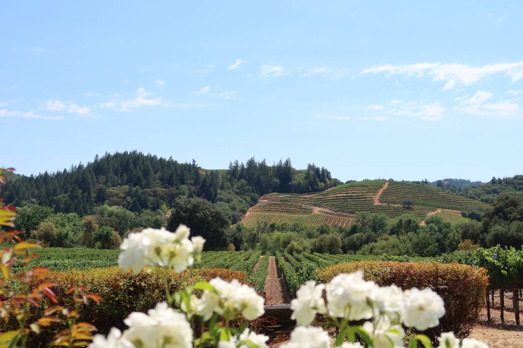 napa valley