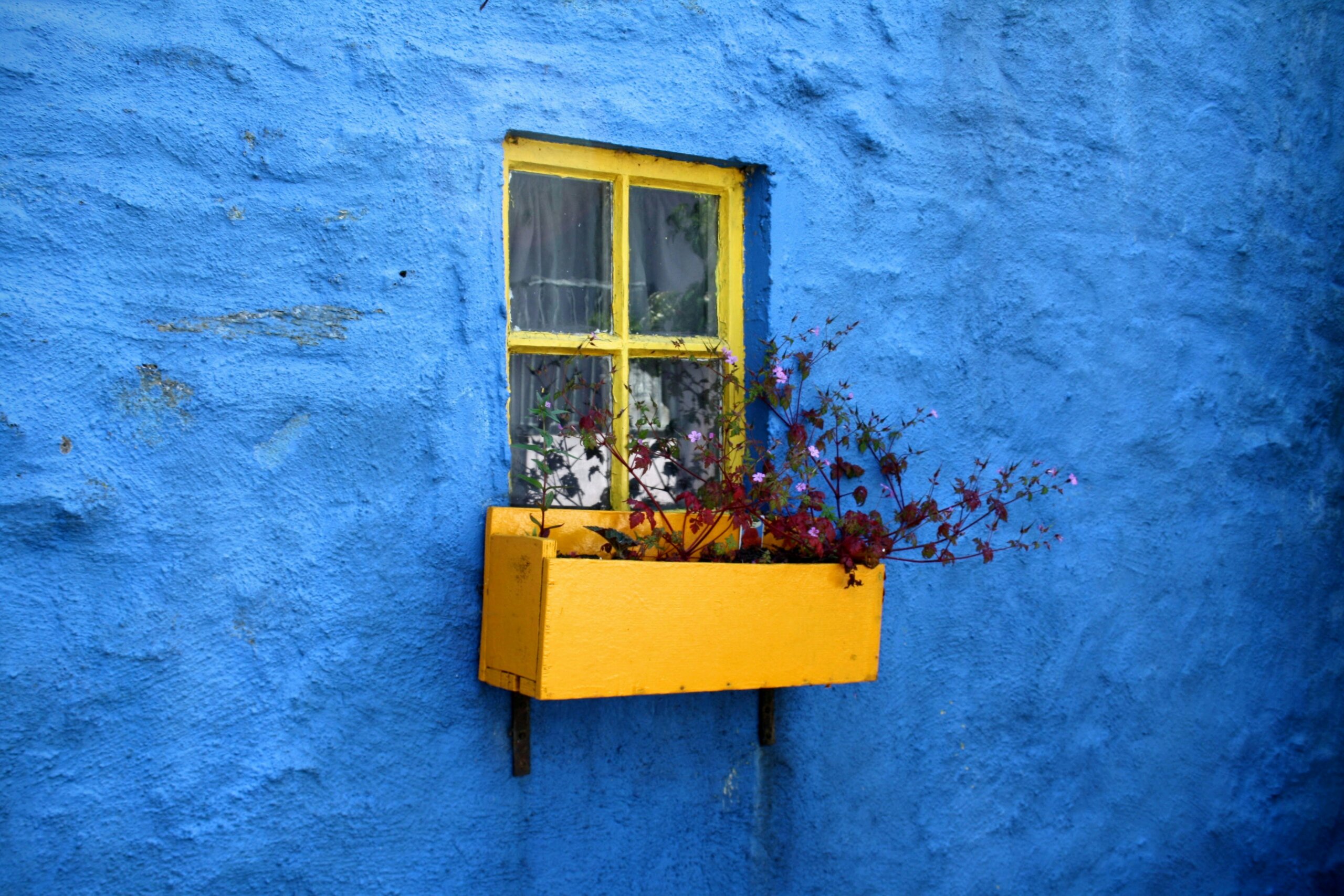 window in kinsale, ireland