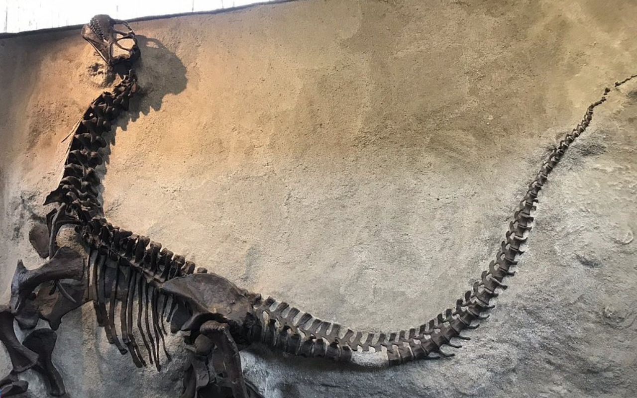 Dinosaur National Monument (Colorado & Utah)