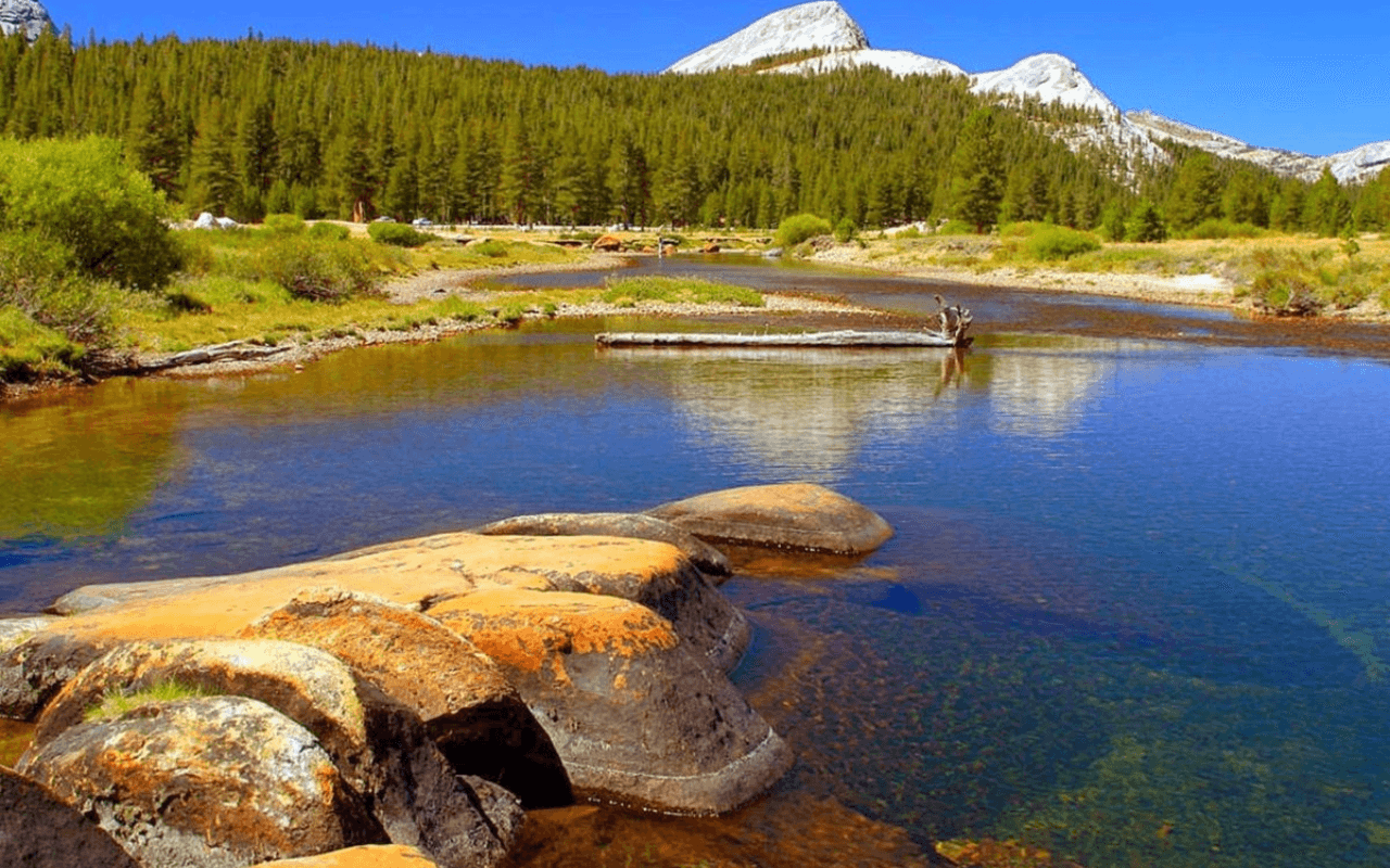 Yosemite National Park 