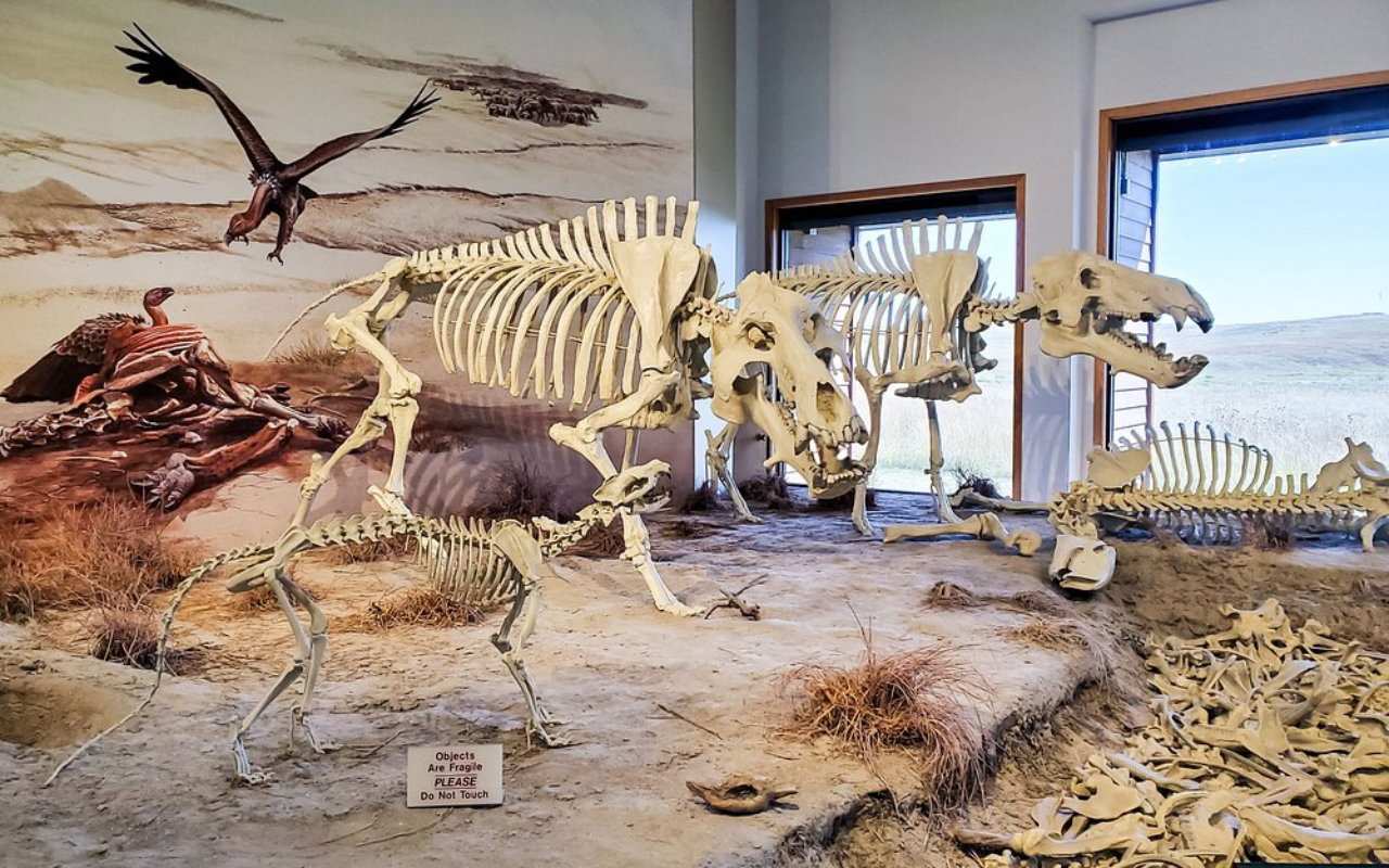 Agate Fossil Beds National Monument (Harrison, Nebraska)