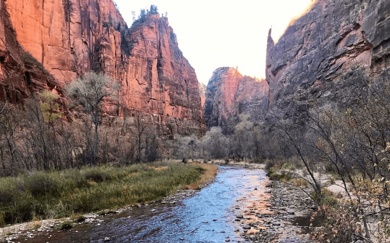 Zion National Park 