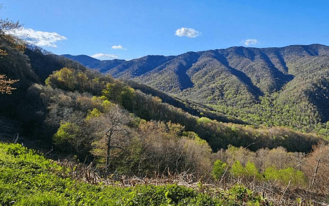 Great Smoky Mountains National Park