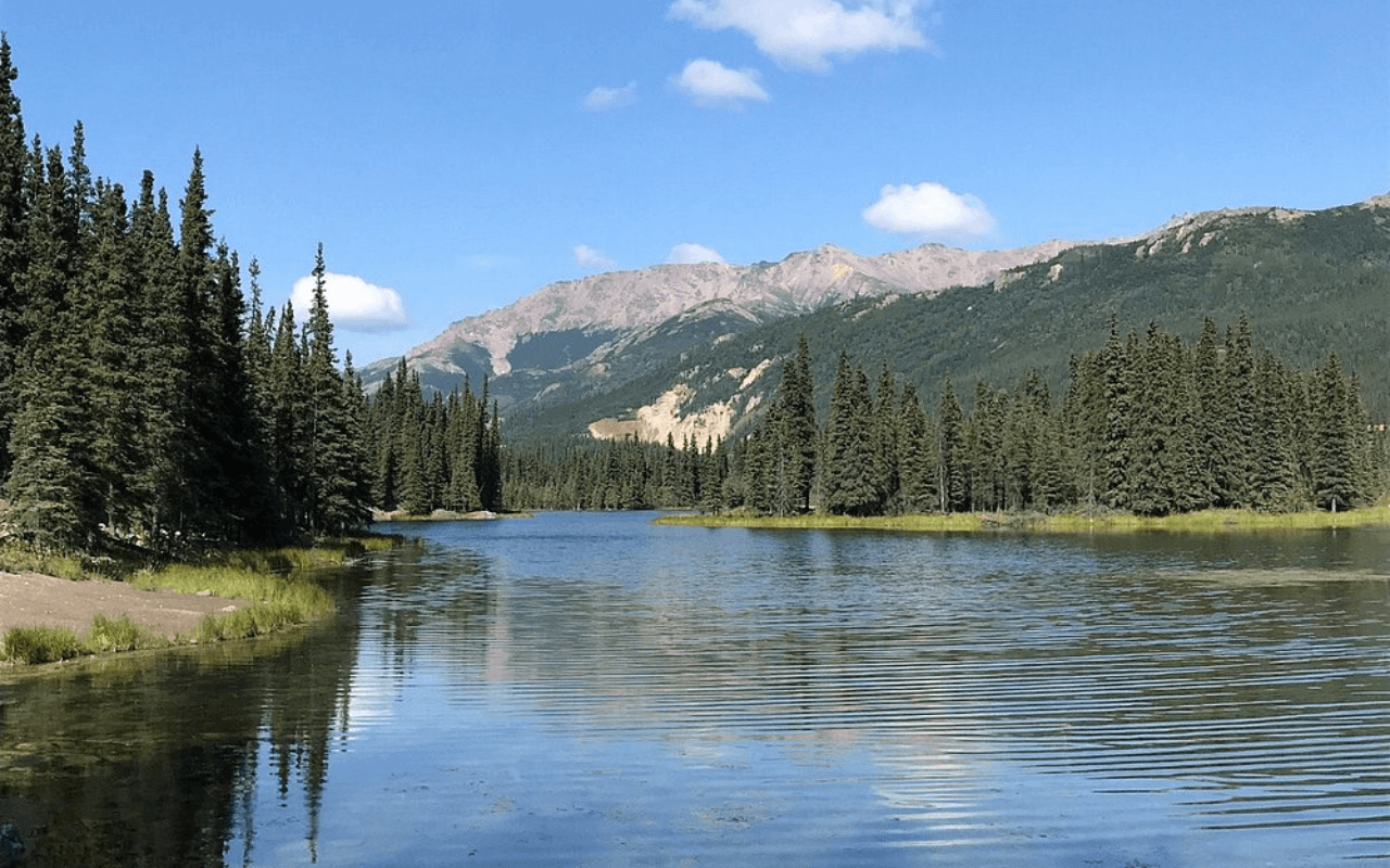 Denali National Park