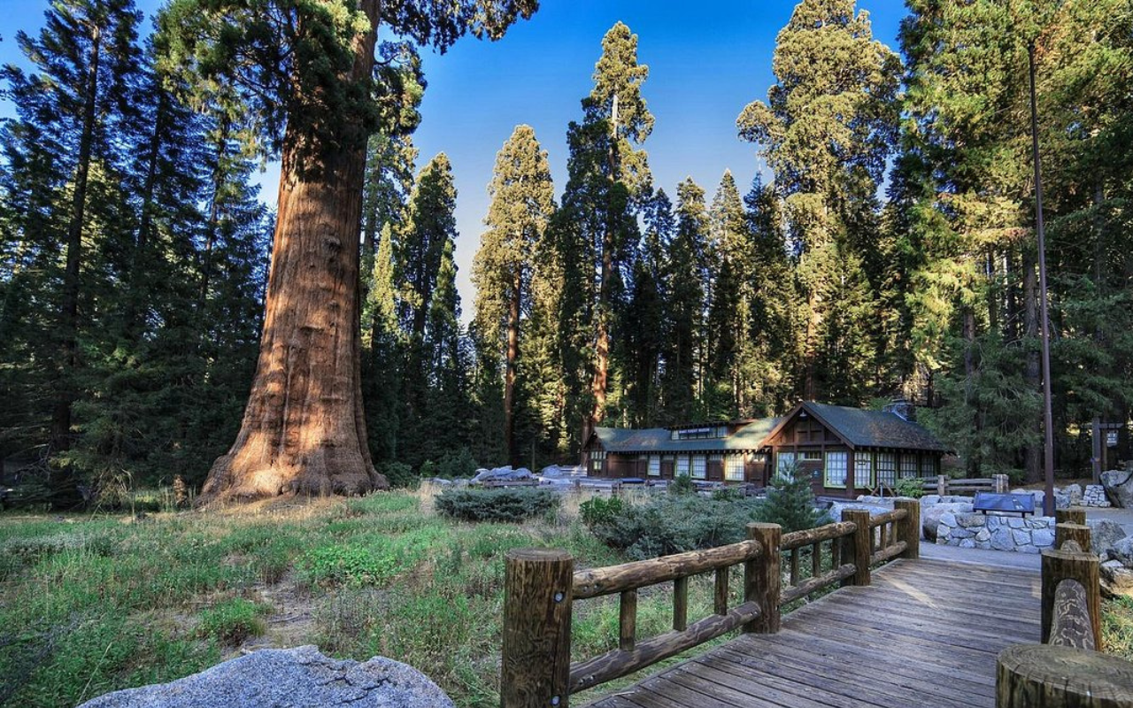 Sequoia National Park (Three Rivers, California)