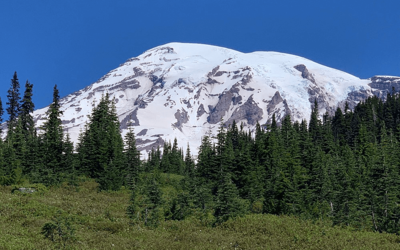 Mount Rainier National Park 