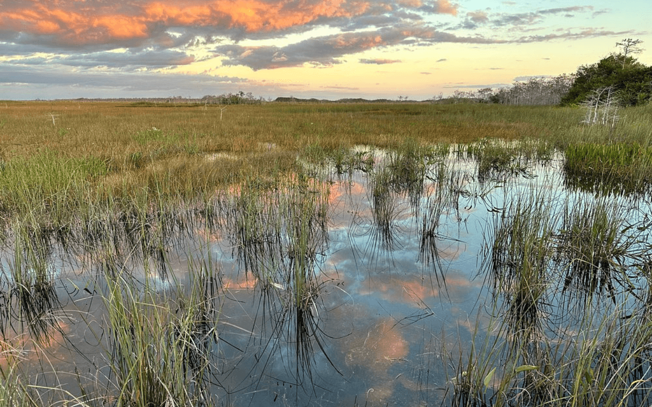 Everglades National Park 