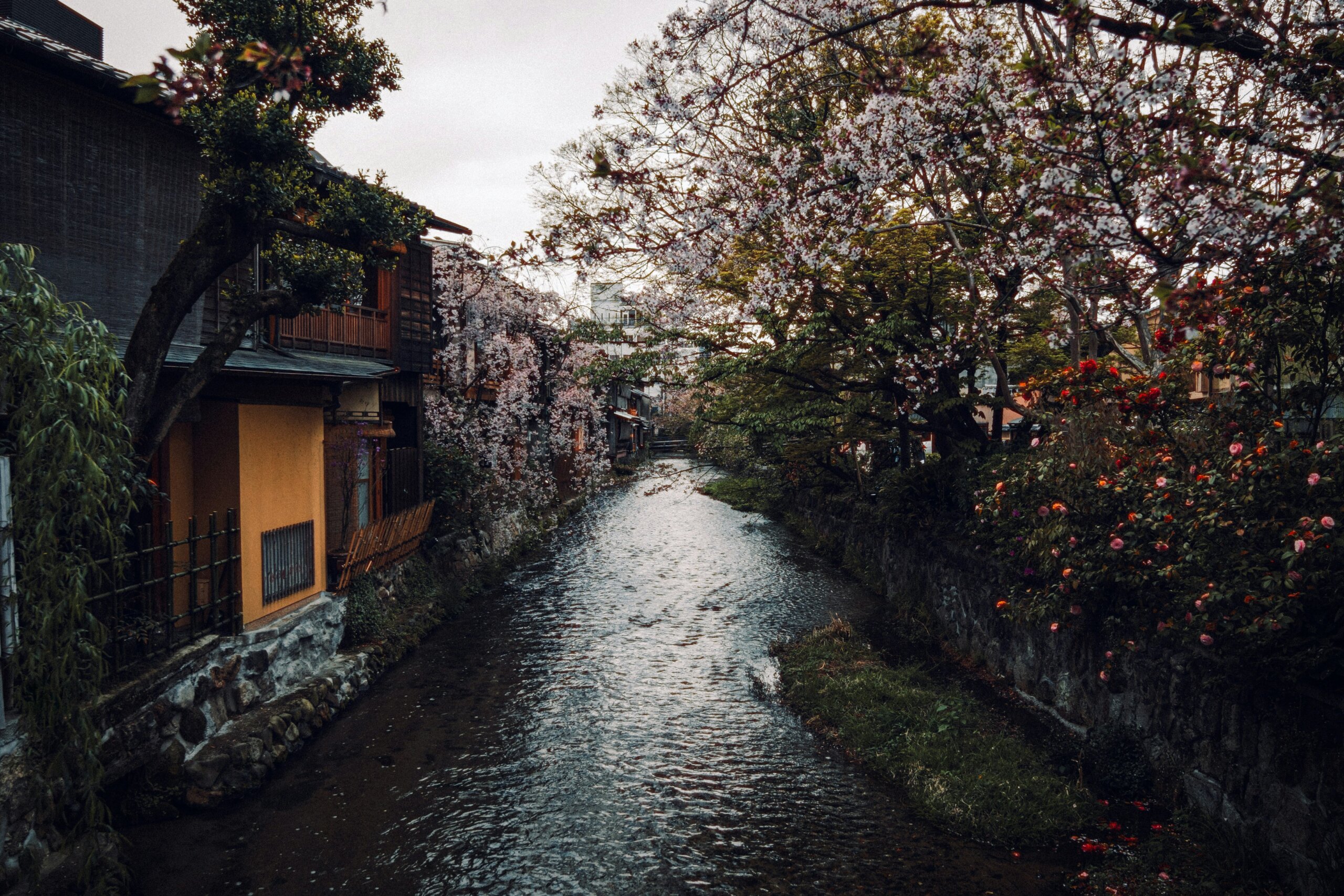 kyoto