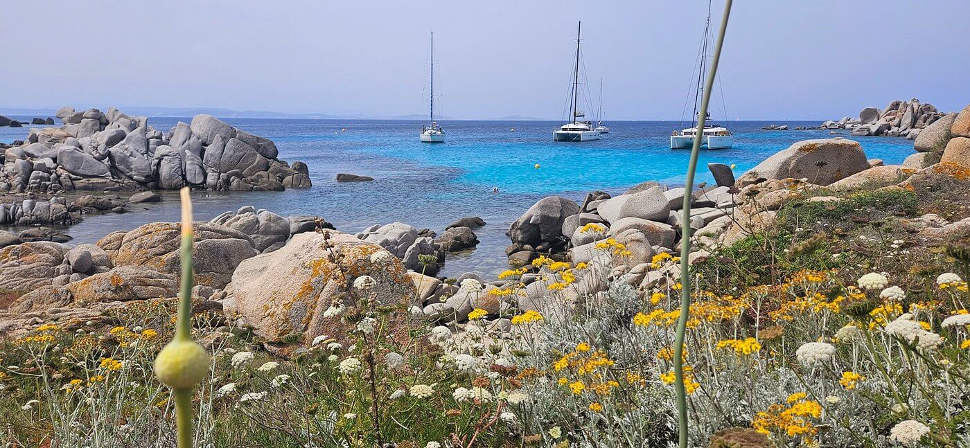 iles lavezzi