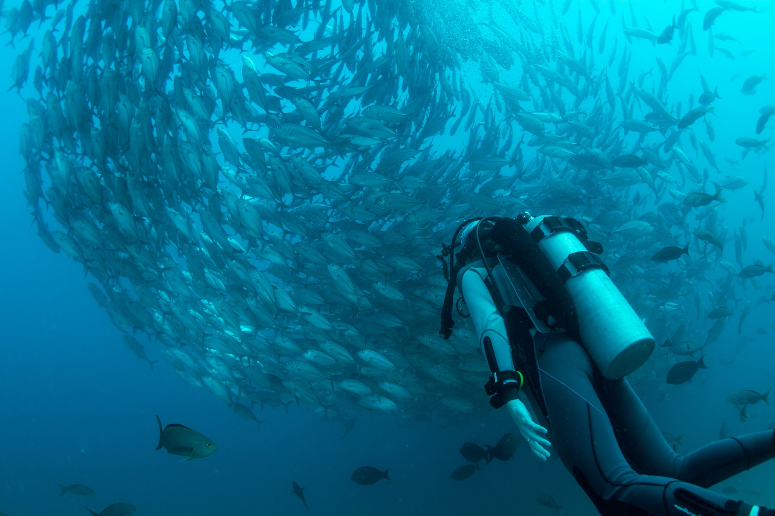 person scuba diving