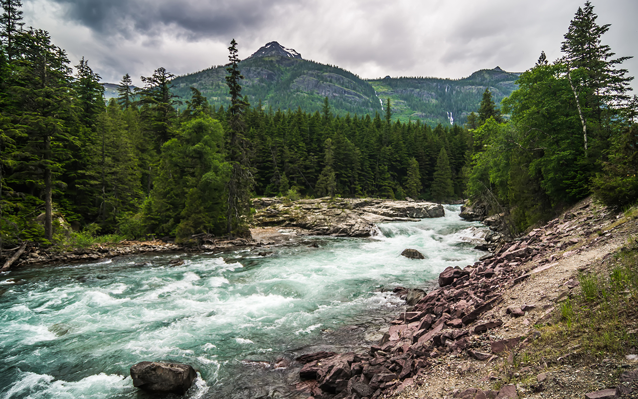 flathead river rapids in glacier national park montana