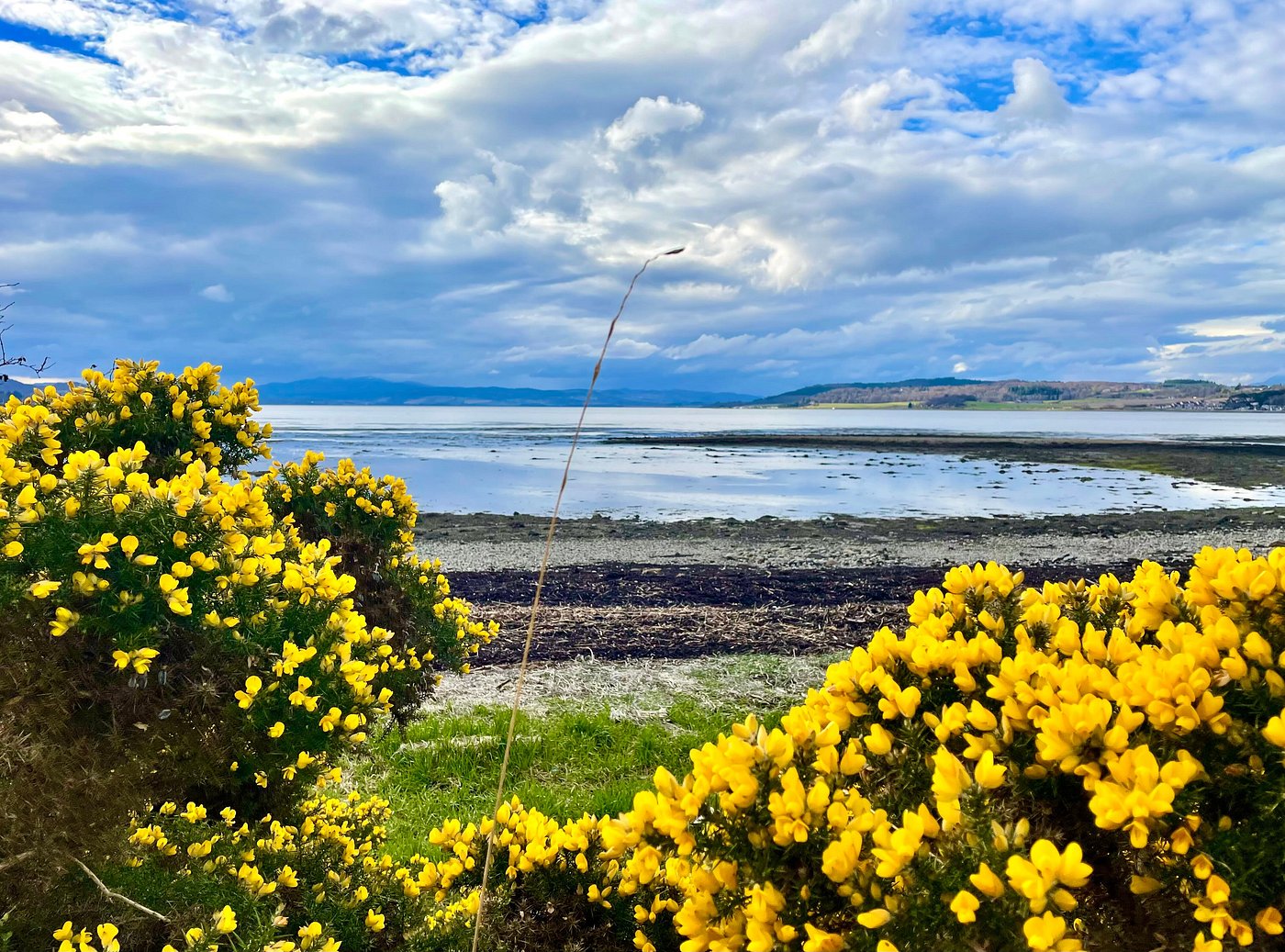 merkinch local nature preserve