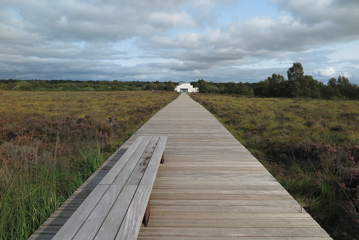 corlea trackway