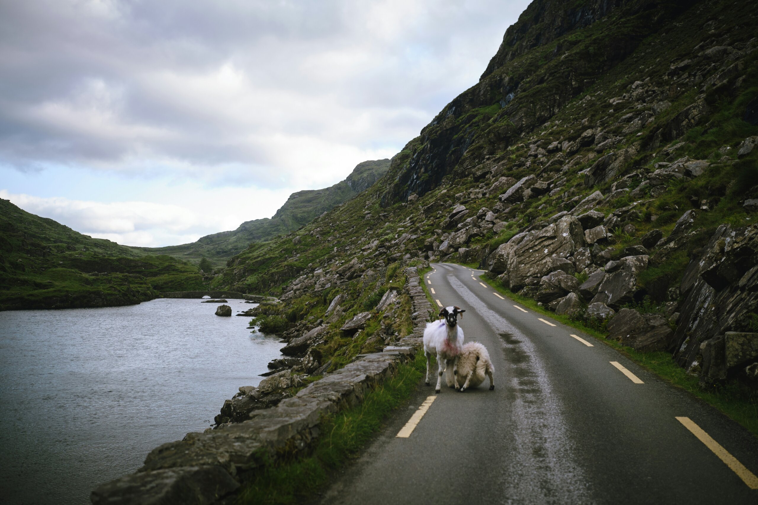 the ring of kerry