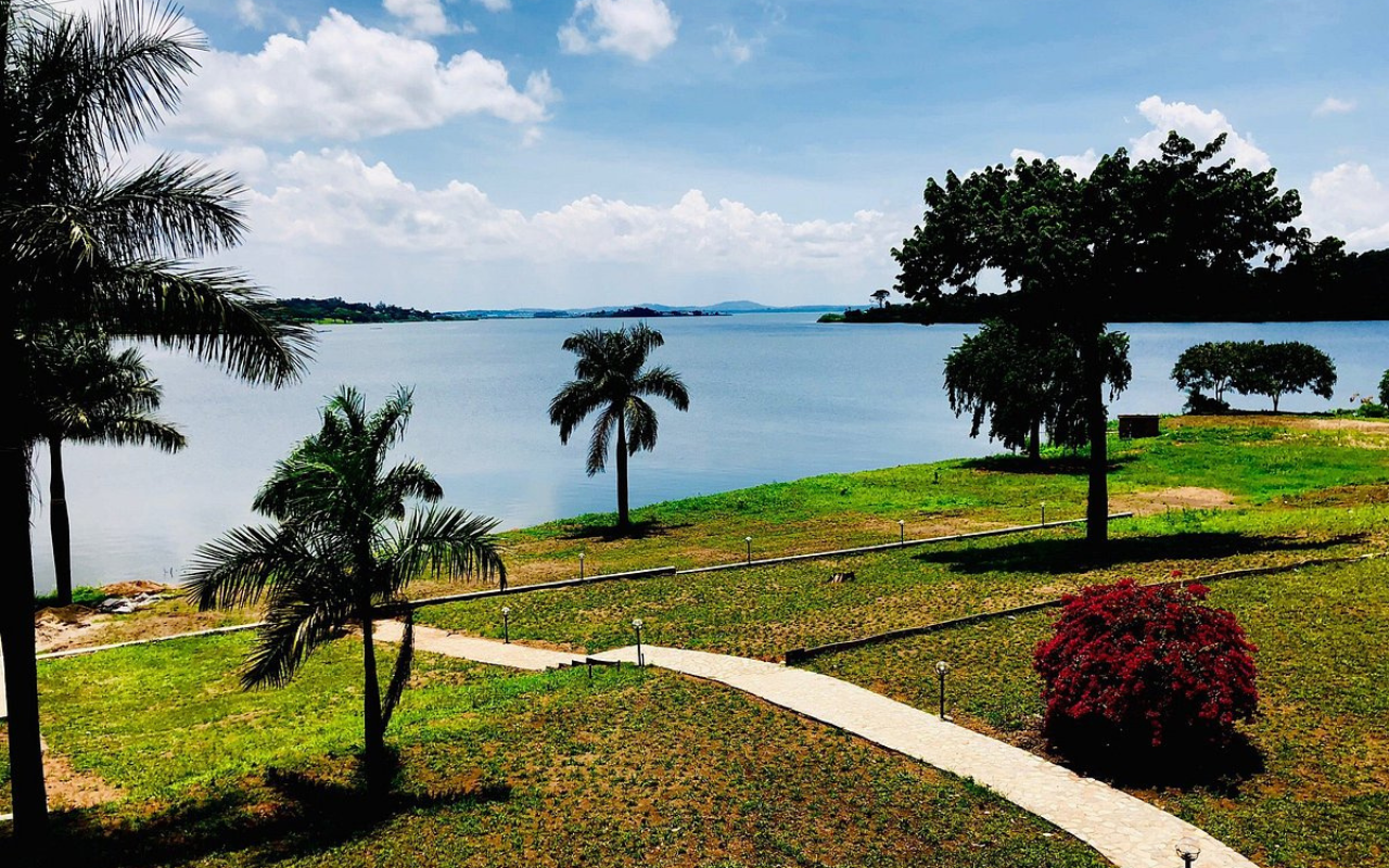 Scenic view of Lake Victoria from Kampala, Uganda with palm trees, walking paths, and a bright blue sky