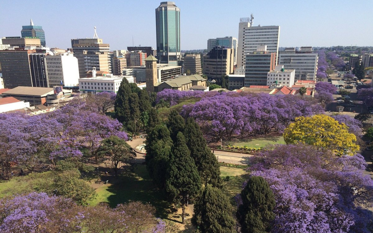 Aerial view of Harare, Zimbabwe with blooming jacaranda trees and downtown skyscrapers in the background
