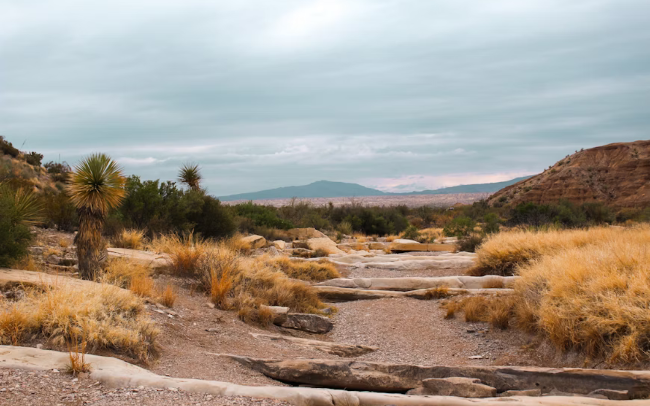 Mesas line the open expanse of dry desert landscape.