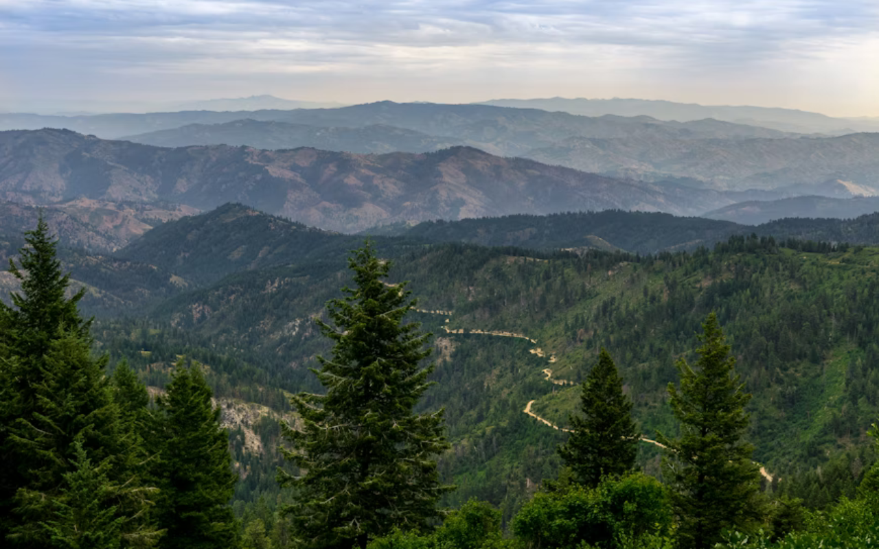 A thin dirt road winds through mountainous terrain in Great Smoky Mountains National Park.