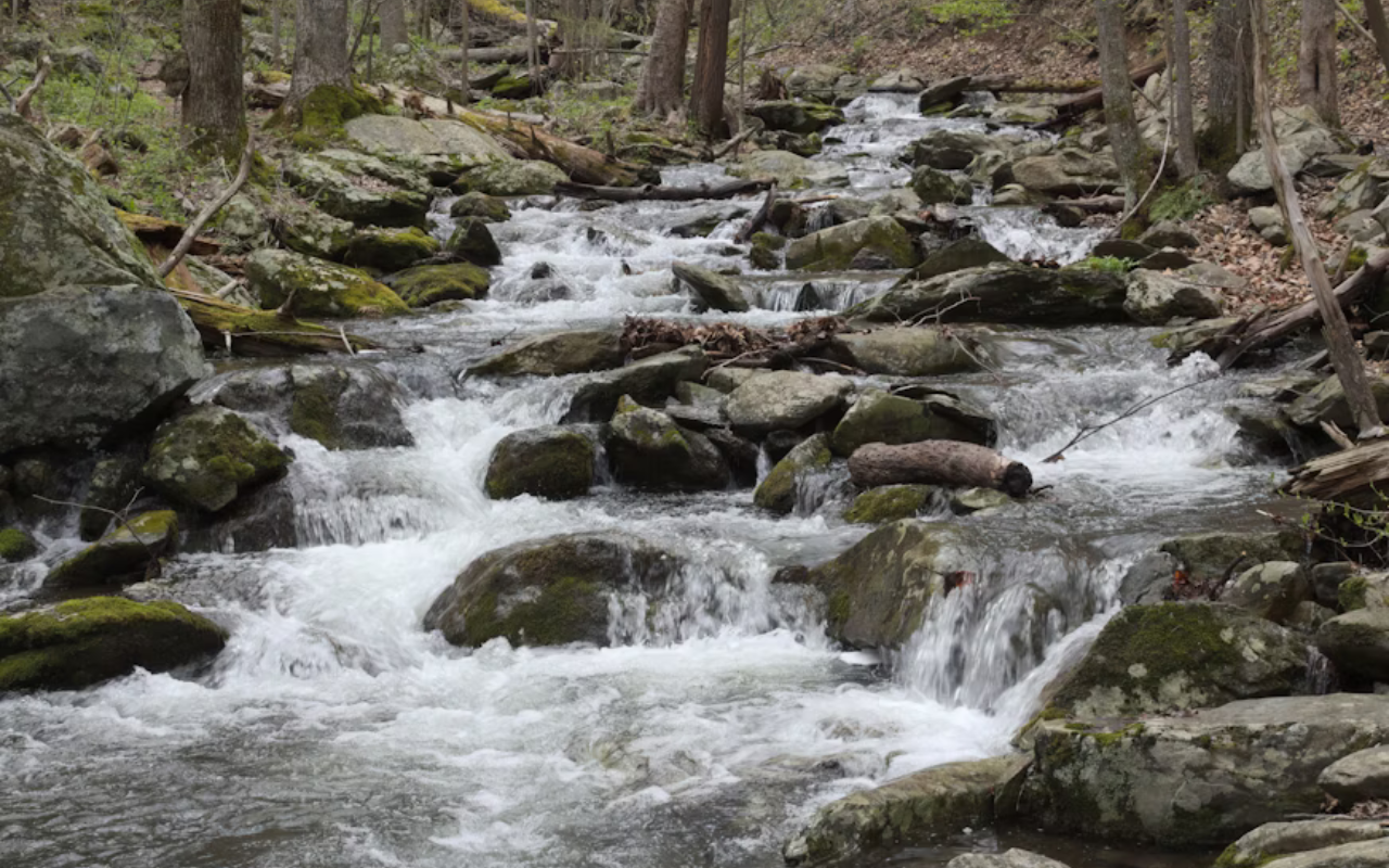 A low-sloped waterfall dances down moss covered rocks in Shenandoah National Park.