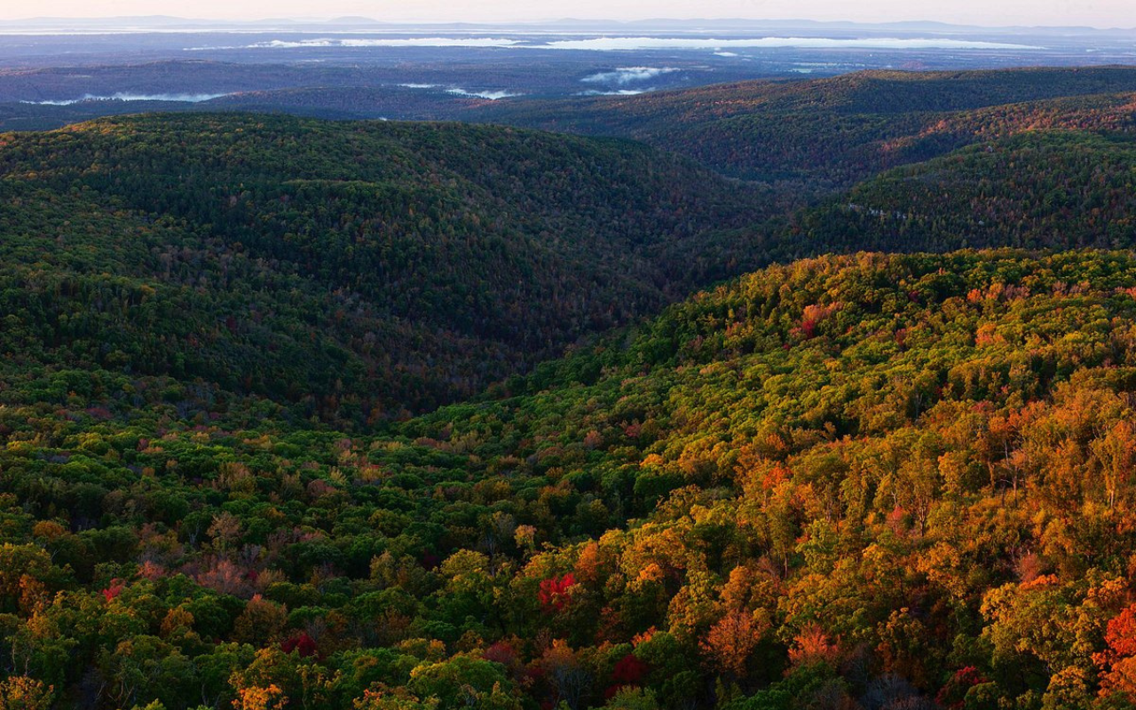 Fayetteville, Arkansas