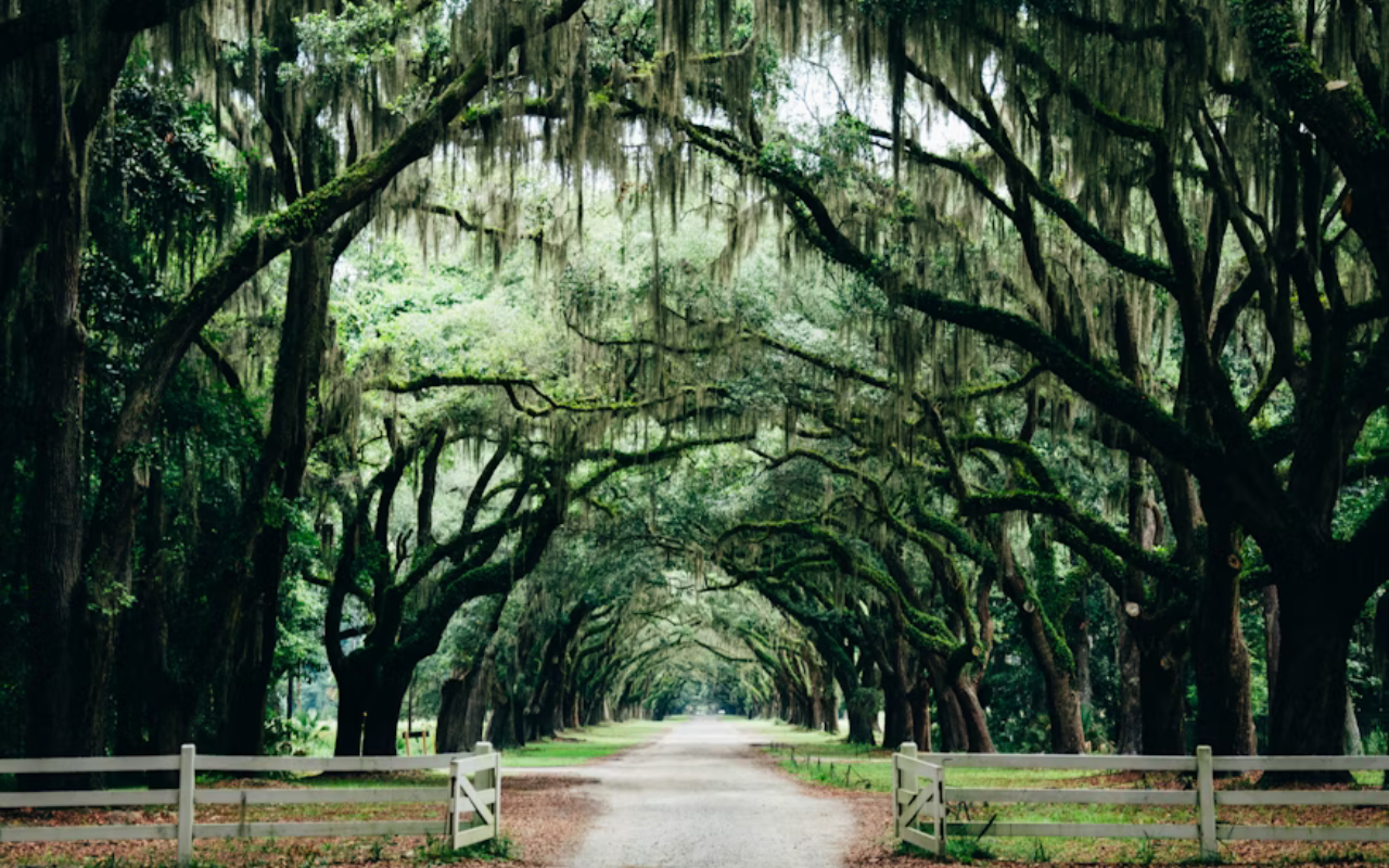 Savannah, Georgia