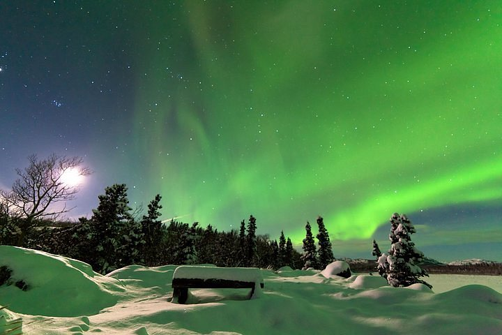 Northern Lights in Fairbanks