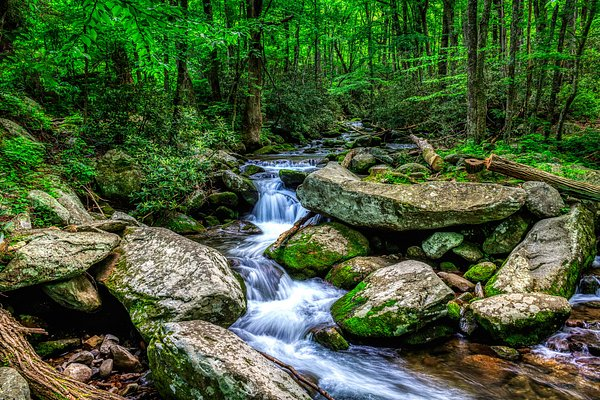 Great Smoky Mountains National Park