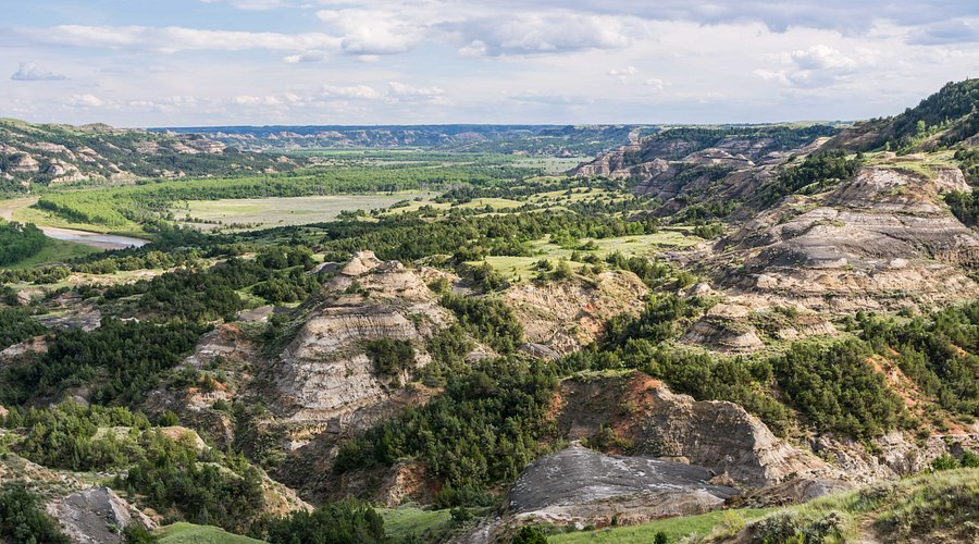 Theodore Roosevelt National Park