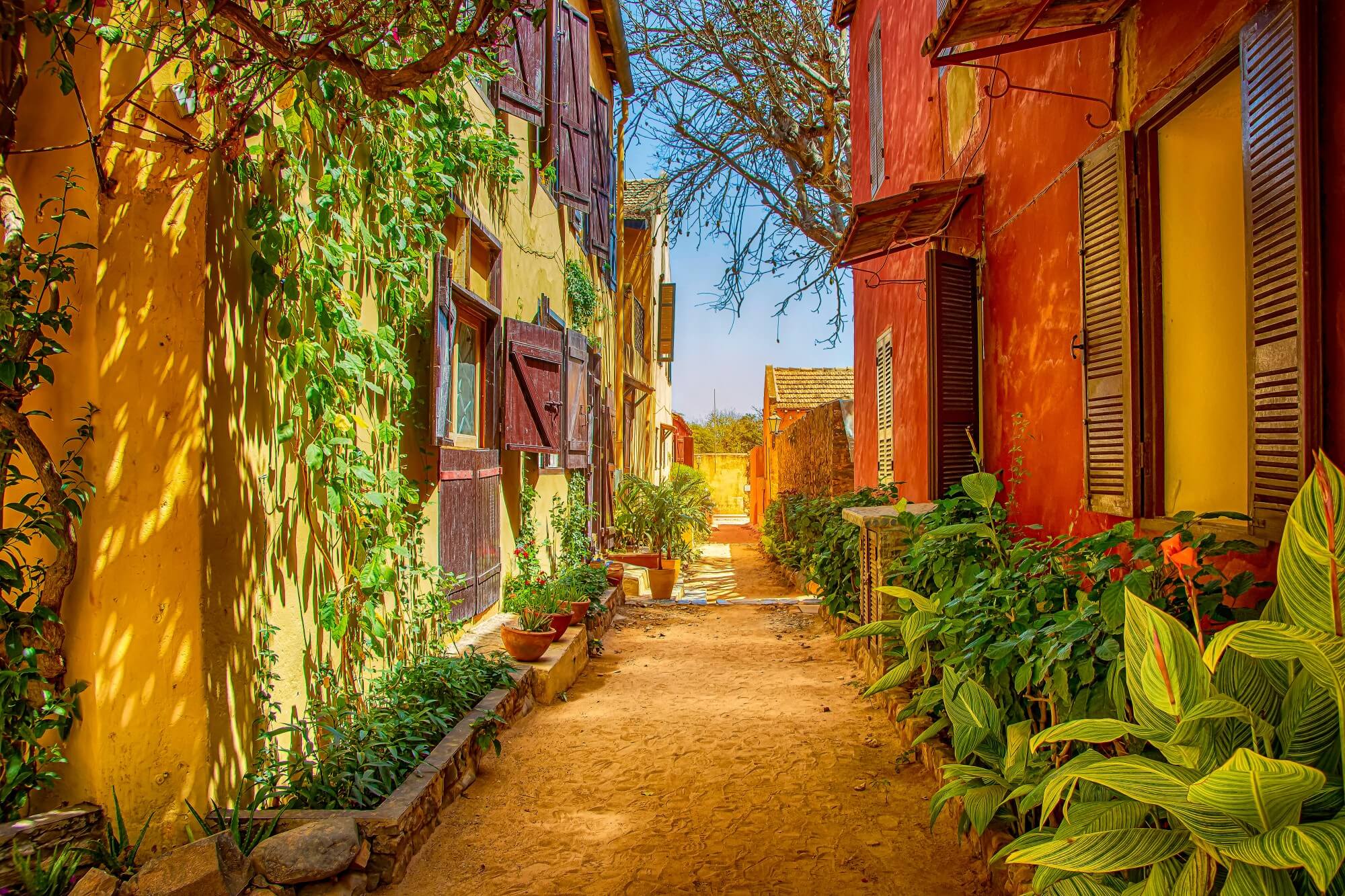 Colorful colonial stone houses with lush greenery on Gorée Island, Senegal—one of the oldest European settlements in West Africa near Dakar