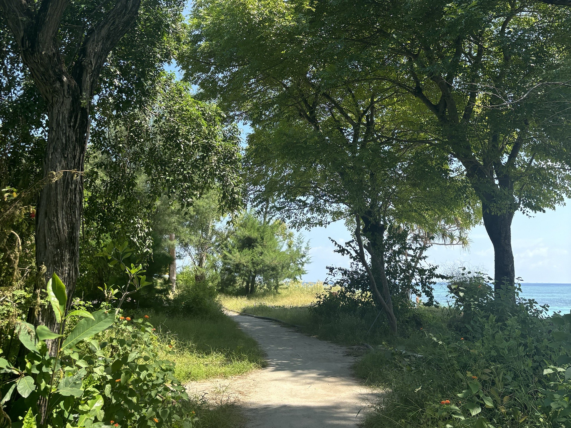 Walking paths around Gili Air
