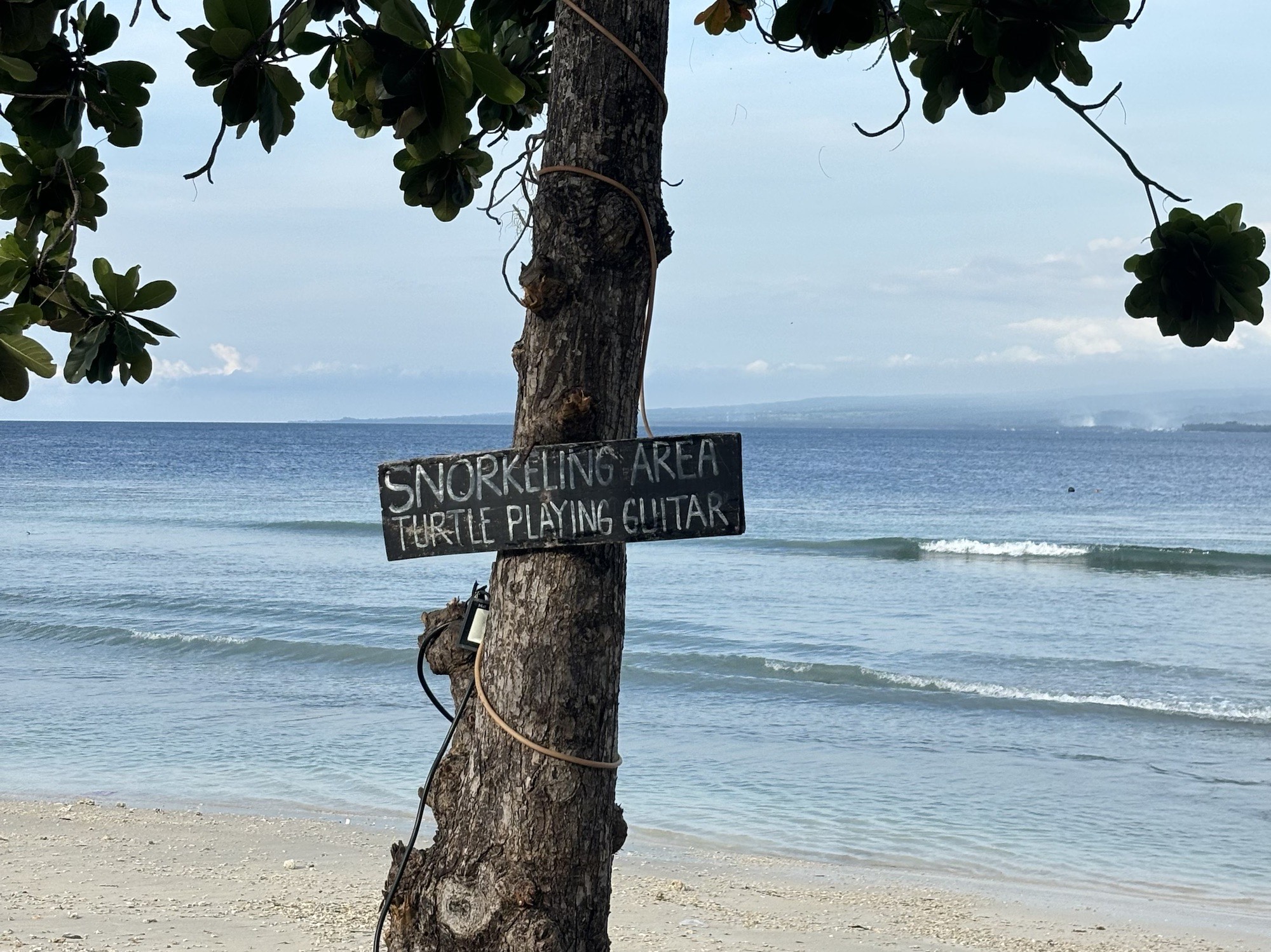 One of the snorkel spots to find turtles 