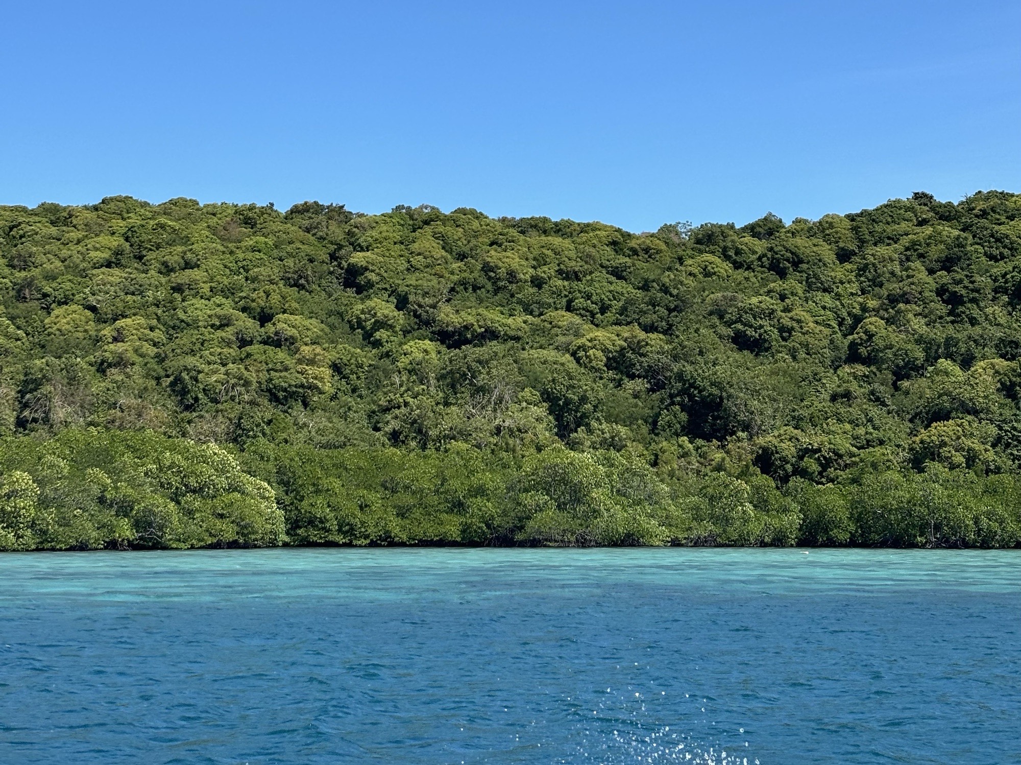 Passing views during the cruise 