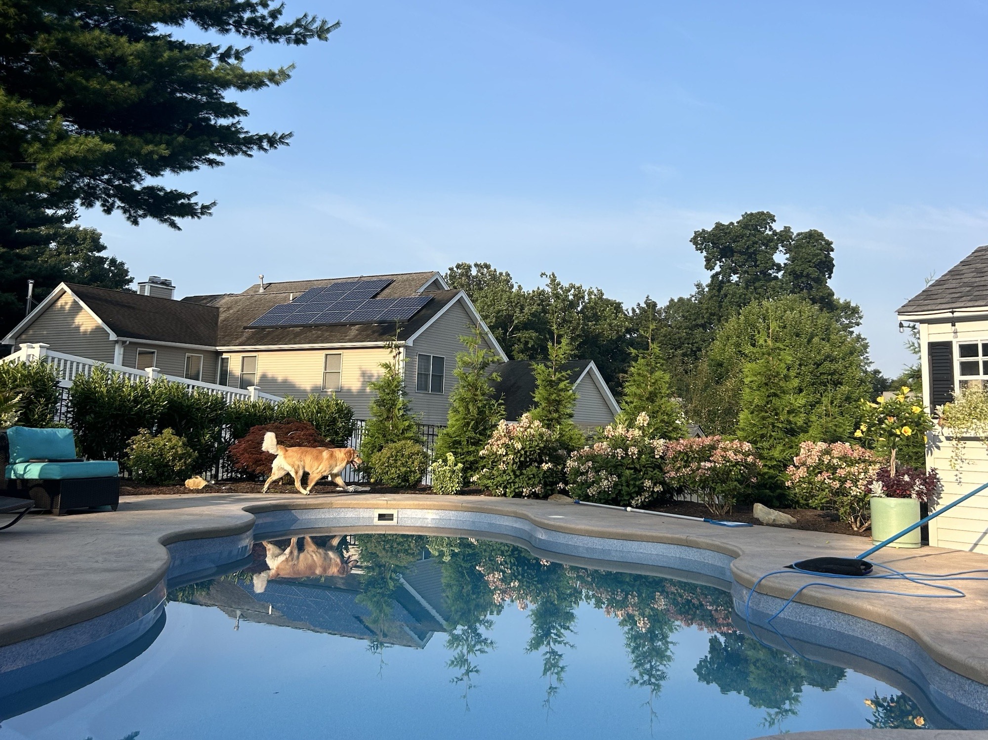 Backyard with a pool