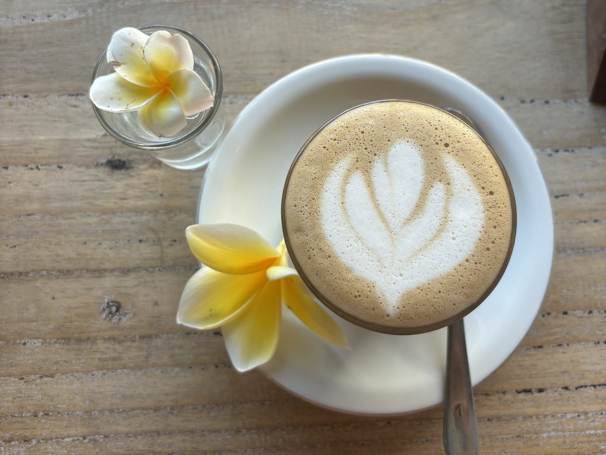 One of the many morning coffees I consumed during my 9 months of backpacking! 