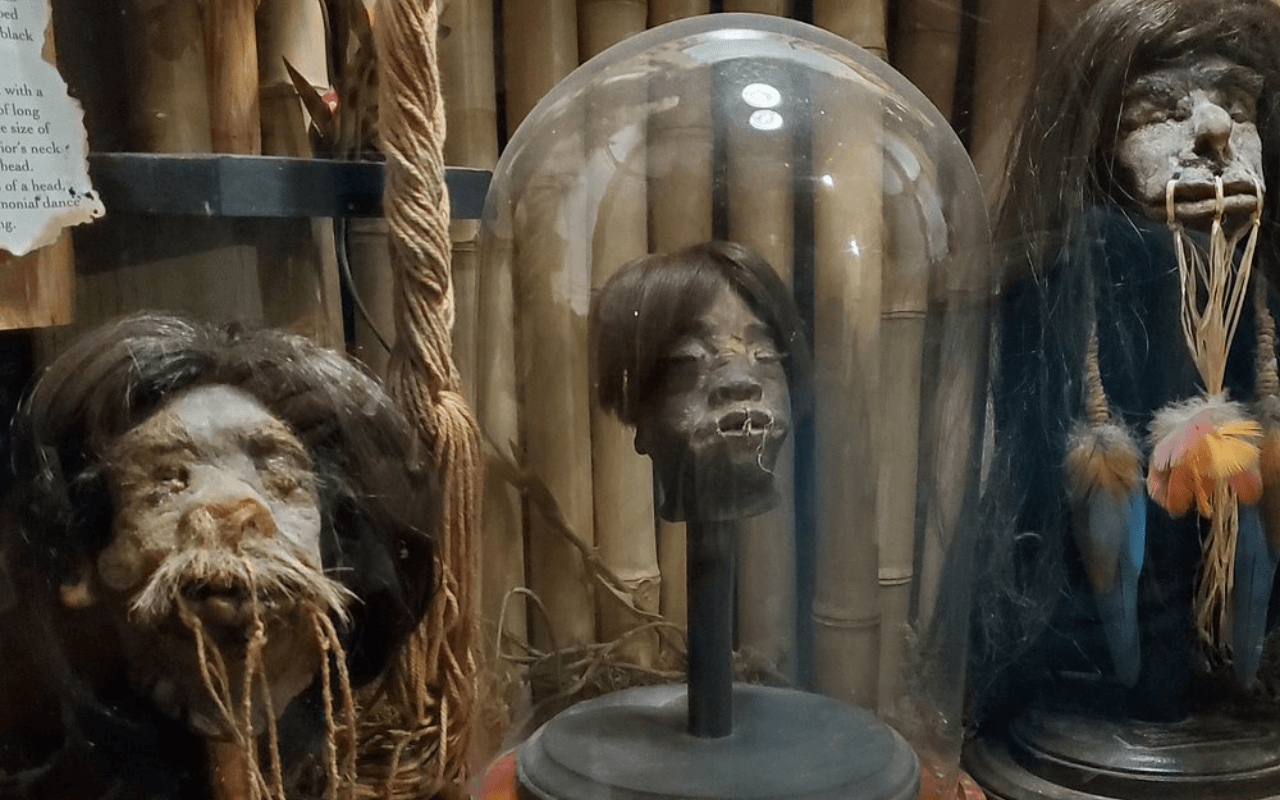 Museum of the Weird