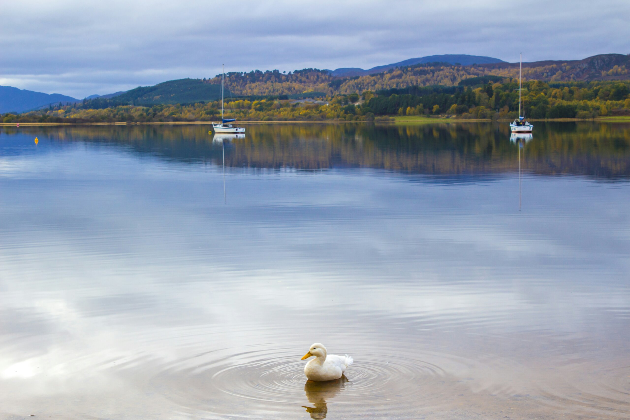 a loch in scotland