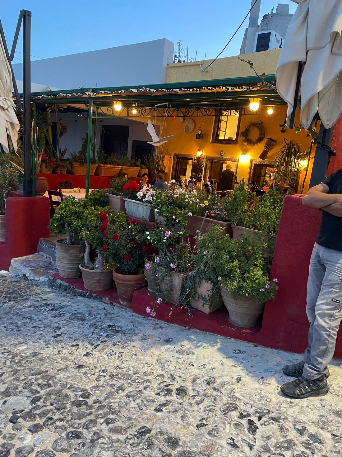 metaxi mas, santorini