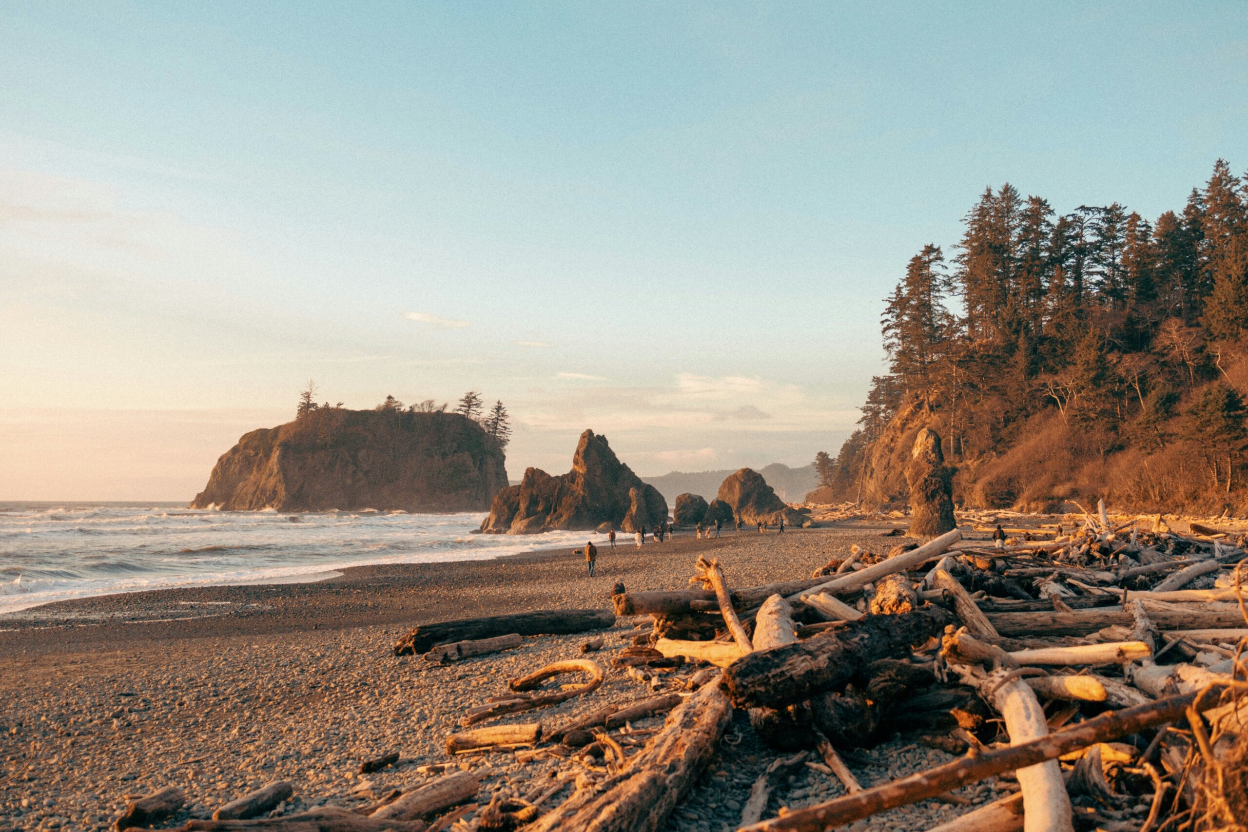Olympic National Park
