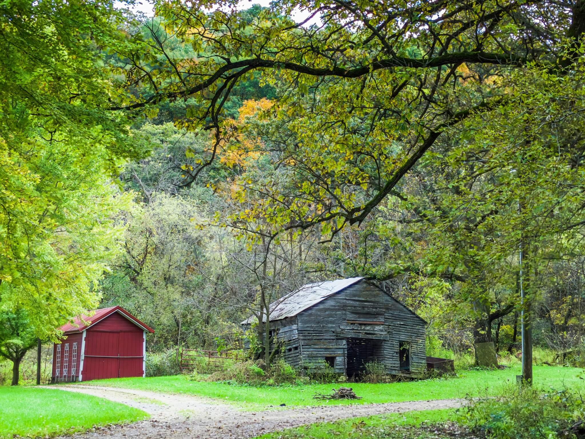 barns in decorah, iowa