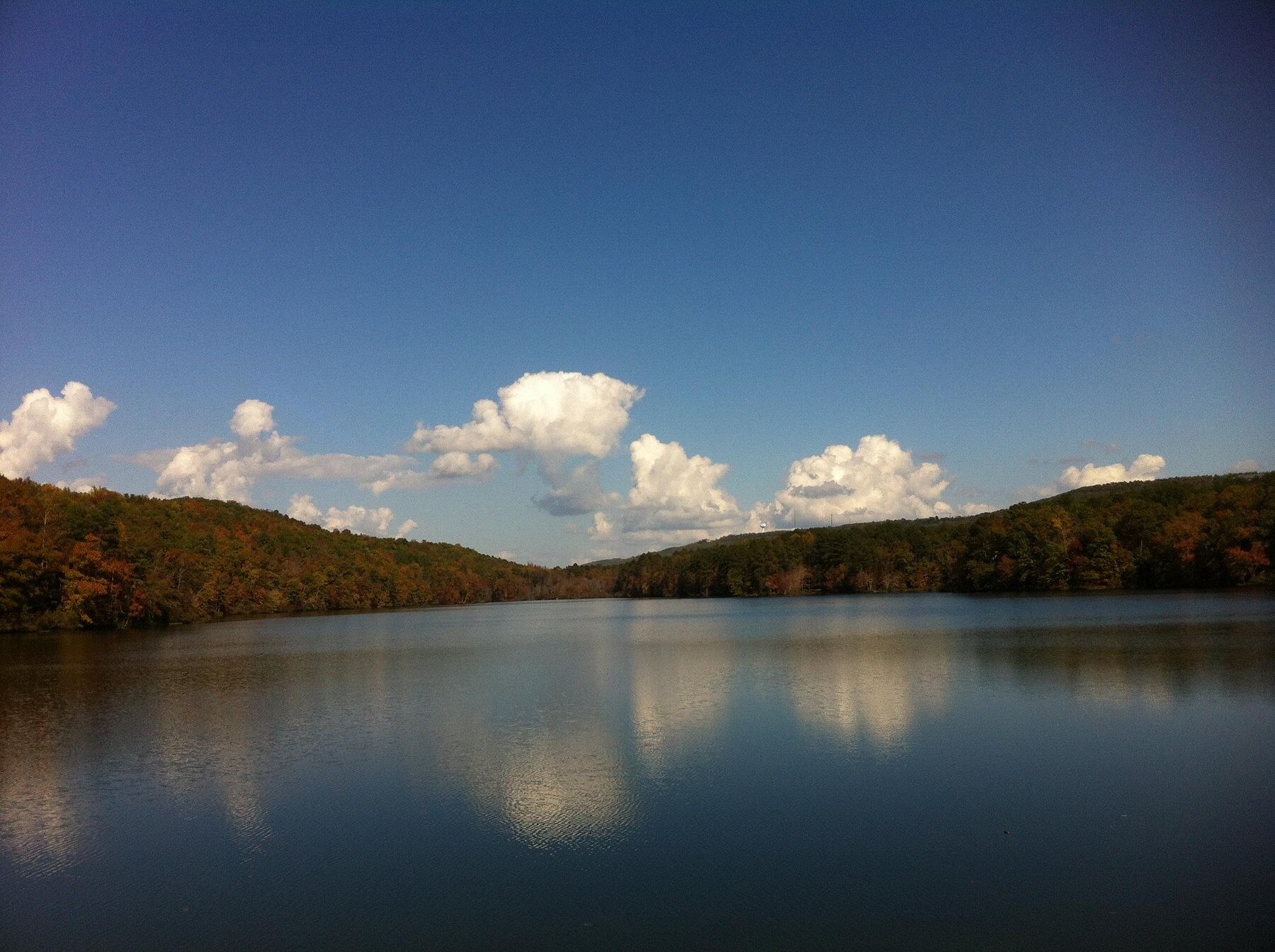 lake martin