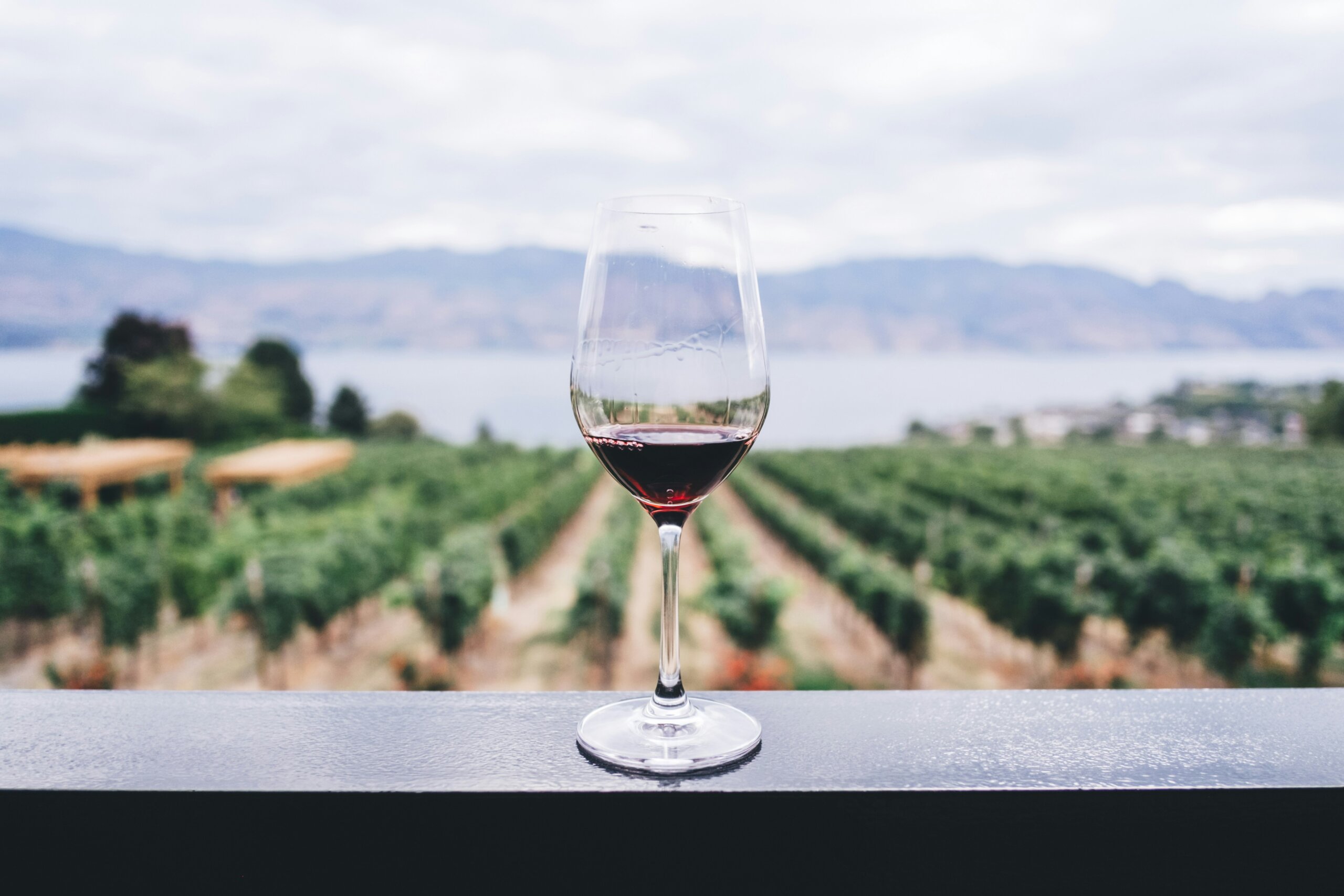 Glass of red wine rests on railing overlooking sprawling vineyards and a lake.