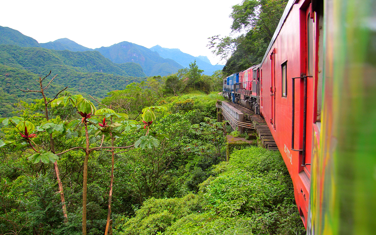 Train in the Atlantic Rainforest Brazil